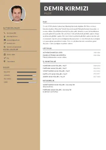 Pilot CV Örnekleri cv indir